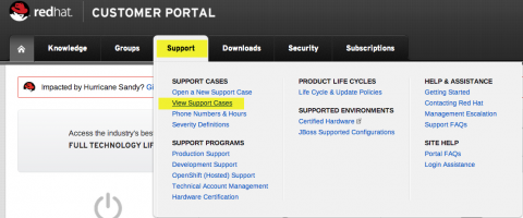 support_view_cases.png