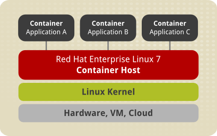  A scheme depicting the architecture of host containers. 