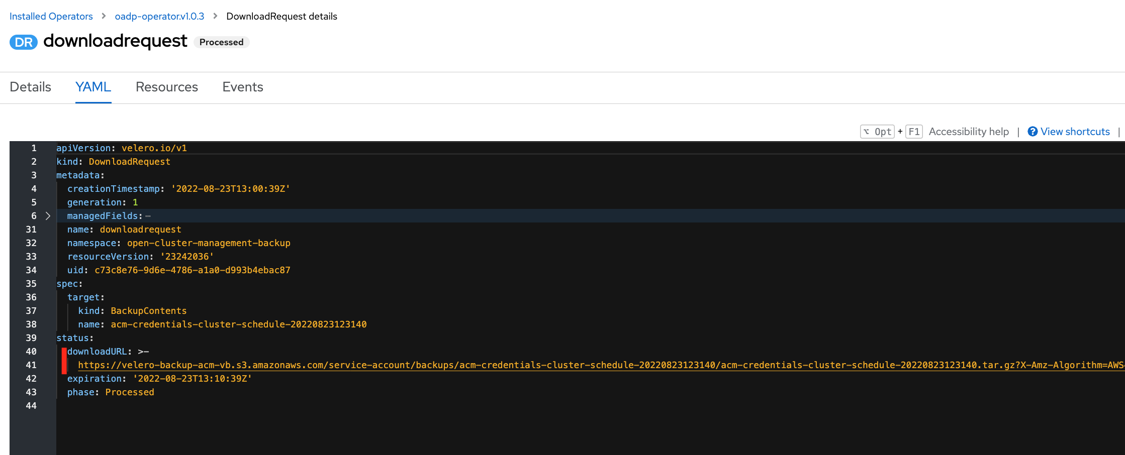 How the access files created by OADP velero backup ? Red Hat Customer