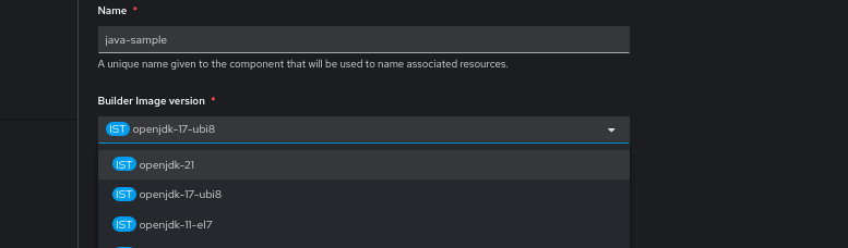 Adding OpenJDK 21 builder image