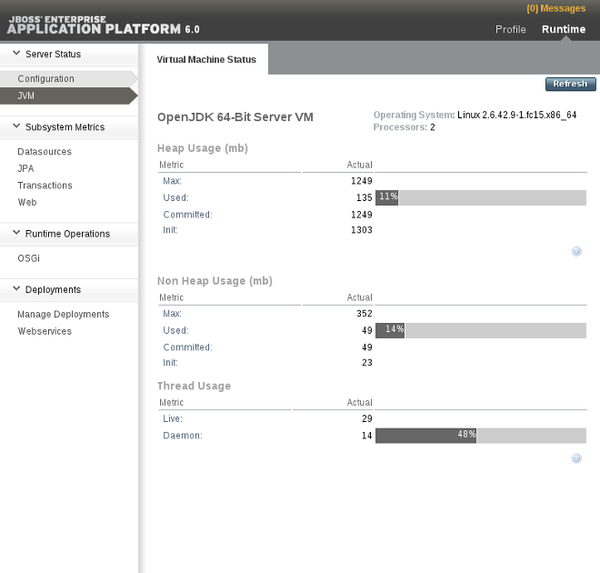 JVM status for a standalone server instance