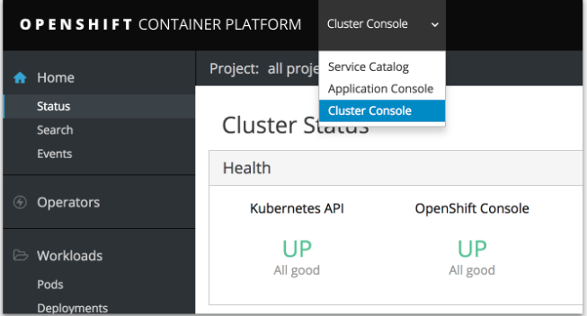 cluster console