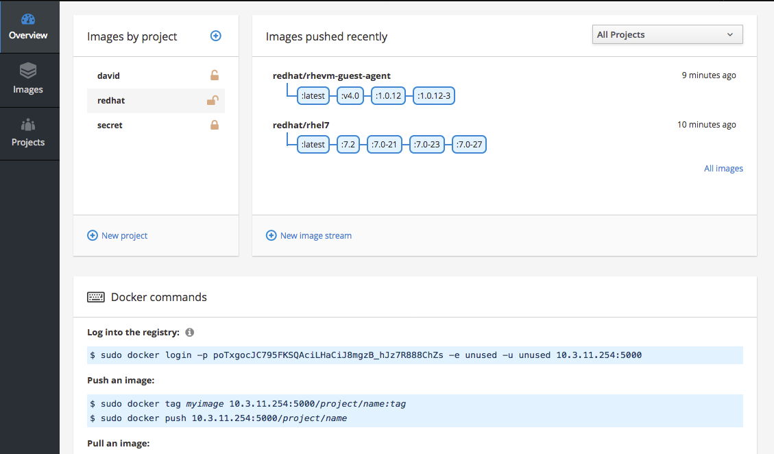 Stand-alone Registry User Interface: Details Tab