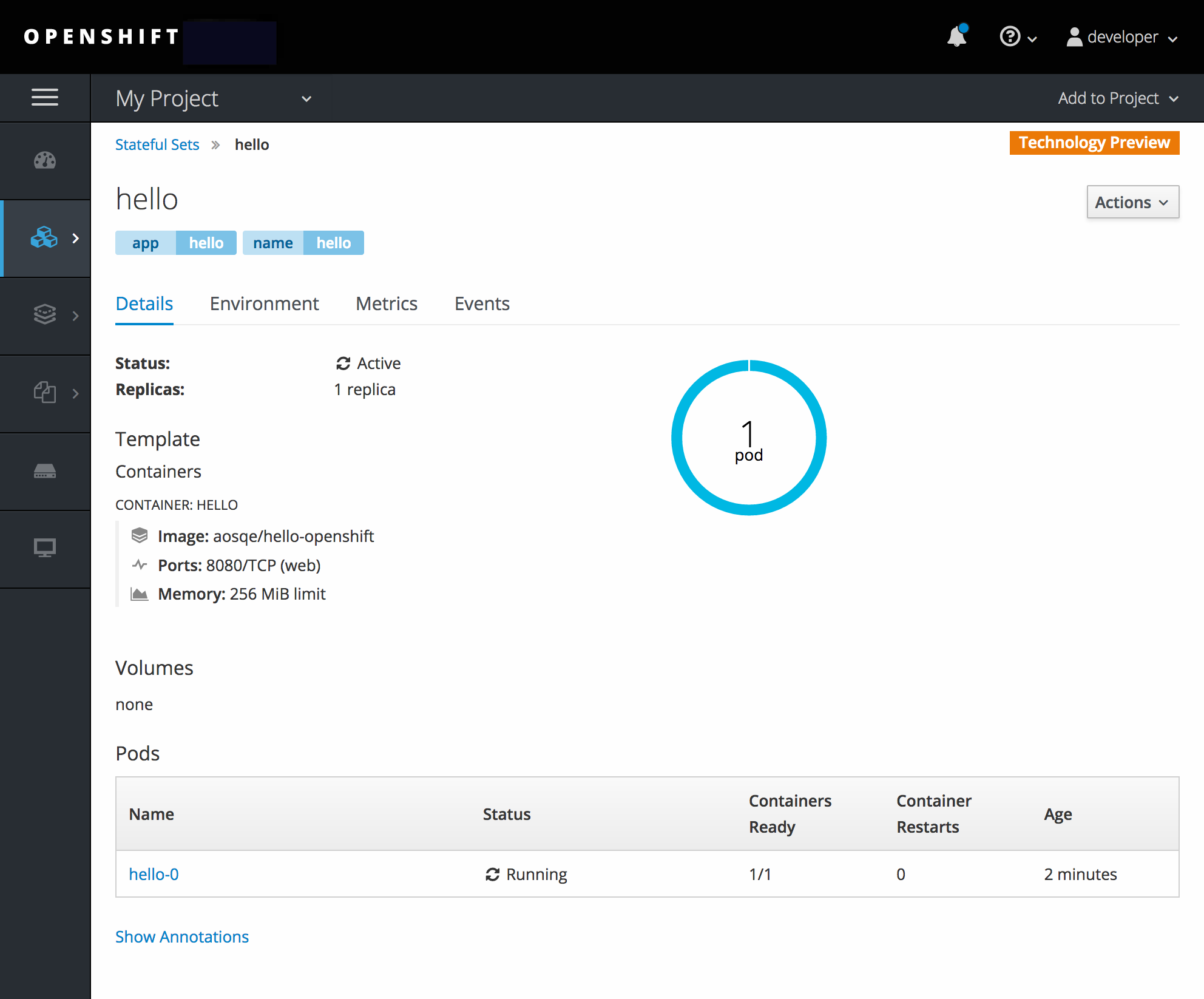 Stateful Sets Page