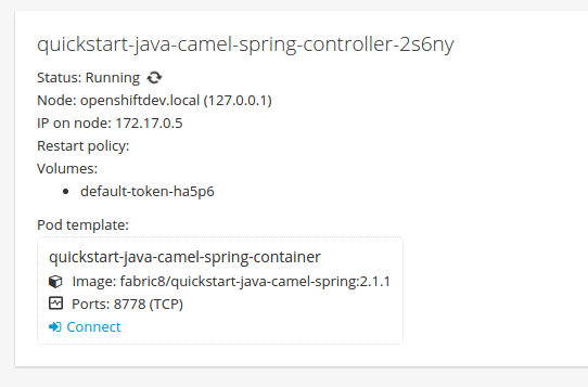 Pod with a Link to the JVM Console