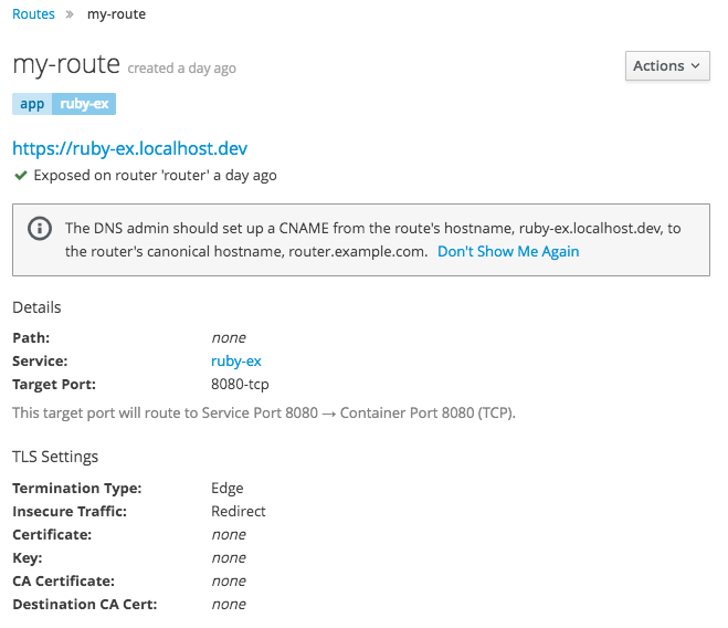 View a created custom route to see the CNAME record