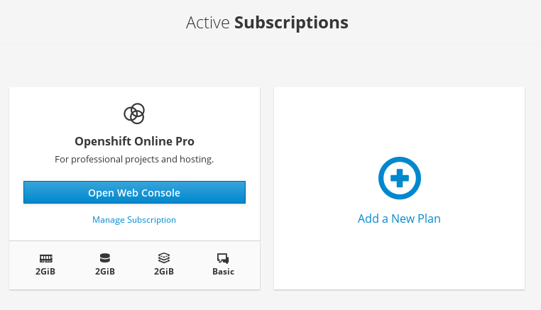 Active Subscriptions
