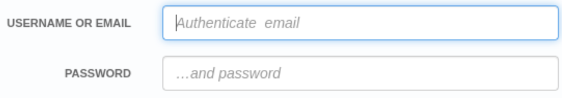 Developer Portal 更新了占位符字段