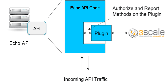 echo api