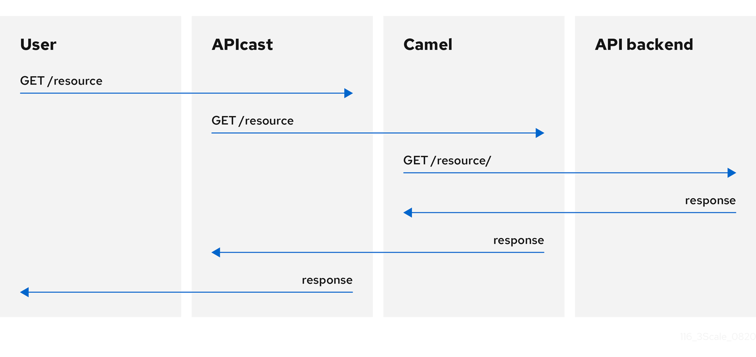 Camel Service policy request flow