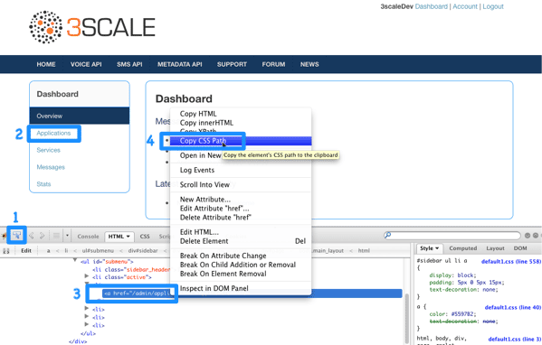 Developer portal modify built-in pages CSS