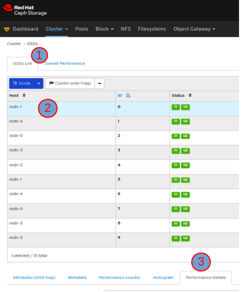 Click OSD Performance details