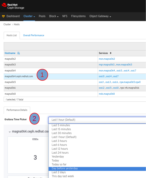 Host Performance Details