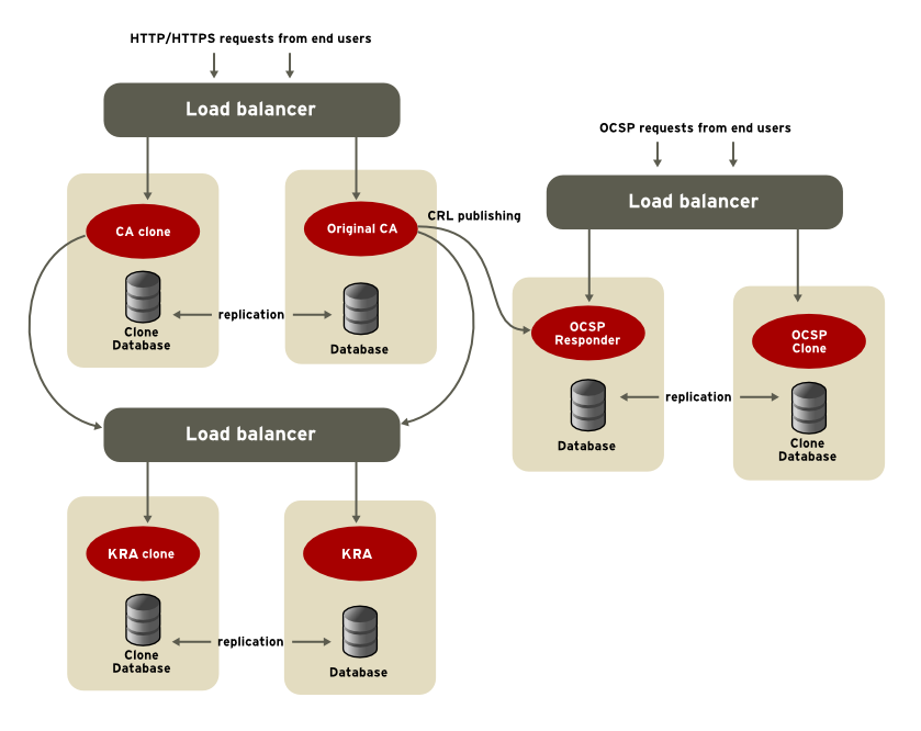 Cloning Example