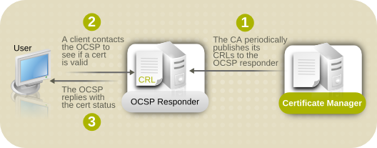 CA 和 OCSP