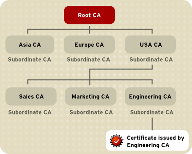 证书颁发机构层次结构示例