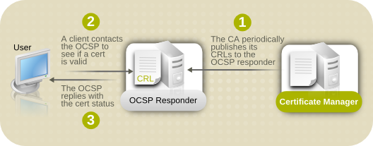 CA および OCSP