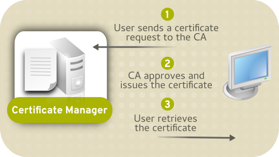 CA のみの Certificate System