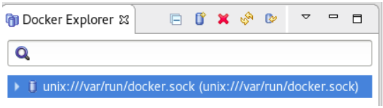 Unix Socket Location Displayed in the Docker Explorer View