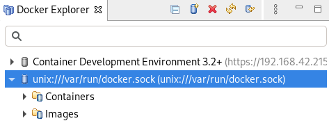 crs docker explorer