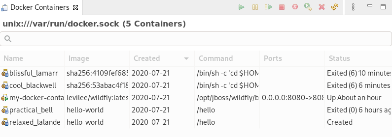 crs docker containers view