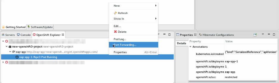 Setting up Port Forwarding