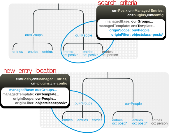 Defining Managed Entries