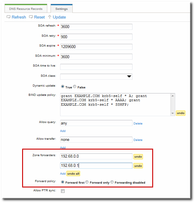 Forwarders in the DNS Zone Configuration