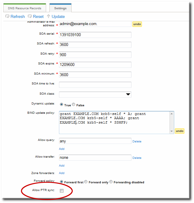 DNS Zone Sync Settings