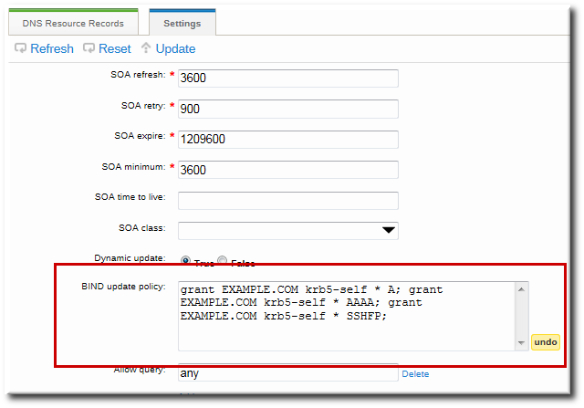 DNS Update Policy Settings