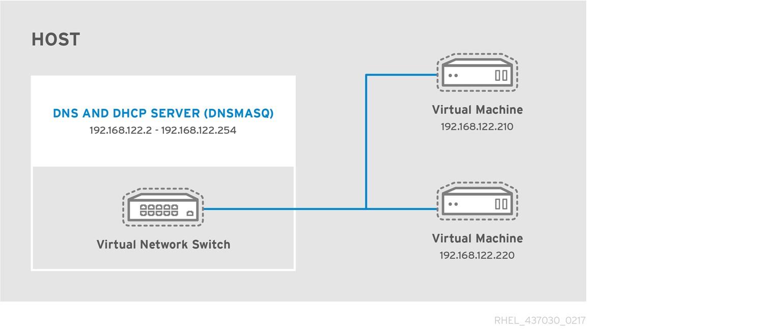 Virtual network switch running dnsmasq
