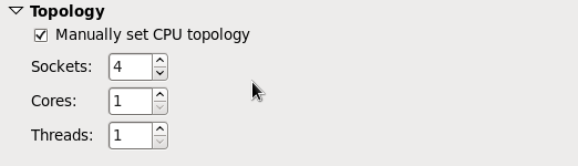 CPU Topology Options