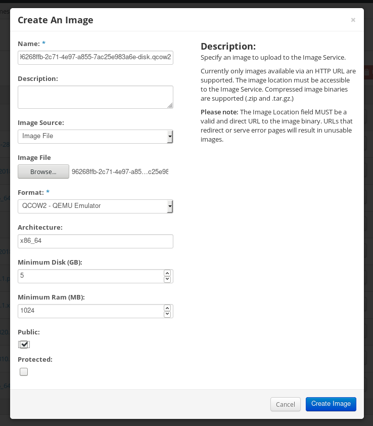 Virtualization type