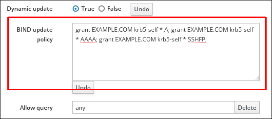 DNS Update Policy Settings