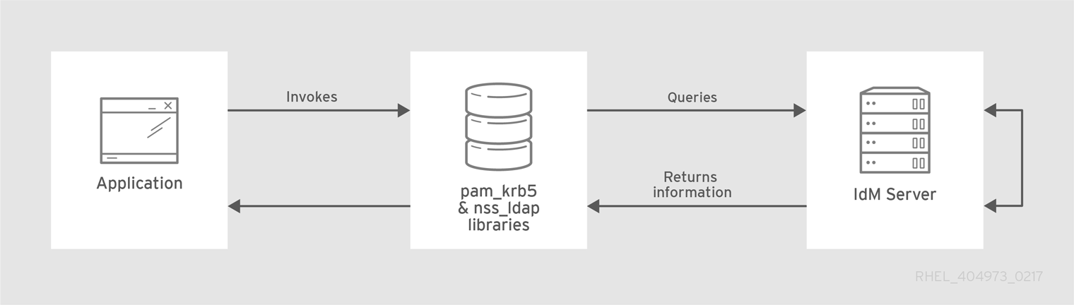 LDAP 및 Kerberos를 사용하는 클라이언트 및 IdM