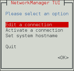 The NetworkManager Text User Interface starting menu