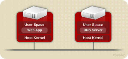 Non-Virtualized Environment