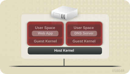 Virtualized Environment