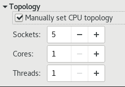 CPU 토폴로지 옵션