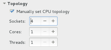 CPU 拓扑选项