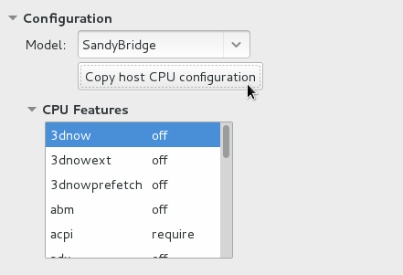 CPU 配置选项