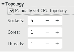 CPU 拓扑选项