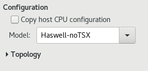 CPU 配置选项