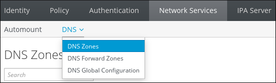 A screenshot showing that a user has navigated to the Network Services tab and has selected DNS Zones from the DNS submenu.