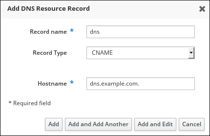 dns add record form