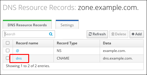 zone.example.com ゾーンの情報を表示する DNS Resource Record ページのスクリーンショット。dns レコード名のエントリーが強調表示されています。