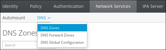 ユーザーが Network Services タブに移動し、DNS サブメニューから DNS ゾーンを選択していることを示すスクリーンショット。