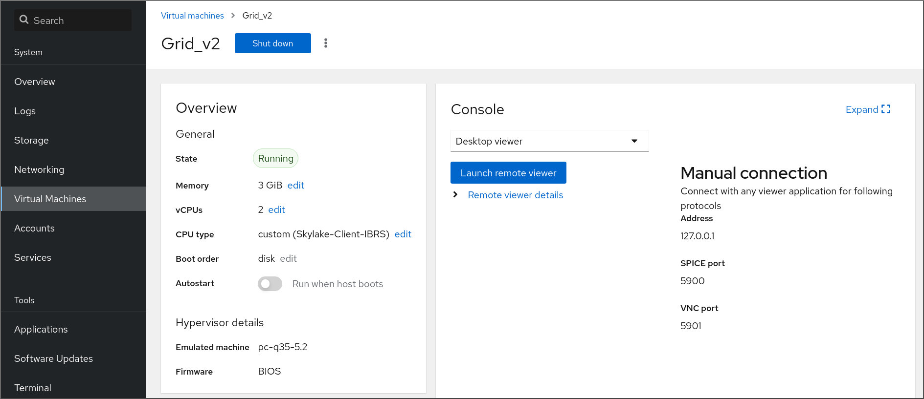 Page displaying the Console section of the virtual machine interface along with other VM details.