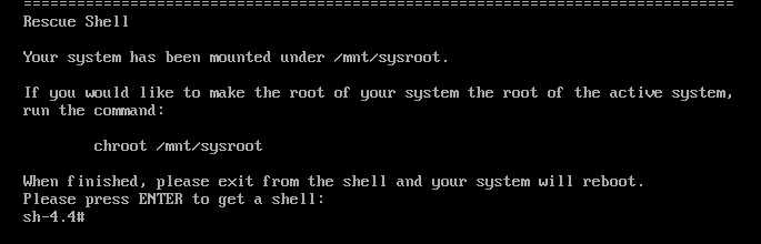 Screenshot of the Rescue screen prompting you to press the Enter key to receive a rescue shell prompt