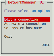 nmtui Select an Option